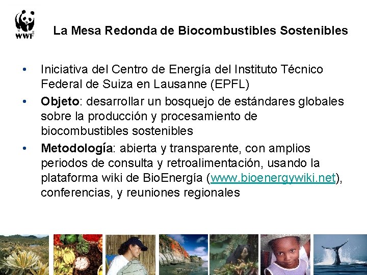 La Mesa Redonda de Biocombustibles Sostenibles • • • Iniciativa del Centro de Energía