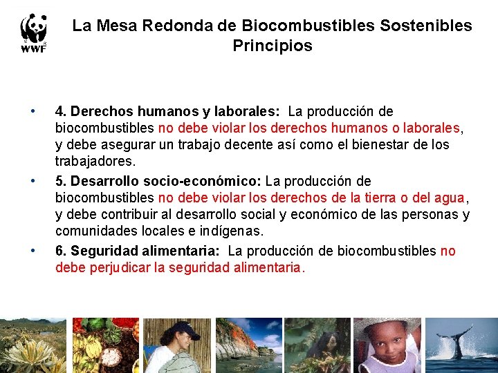 La Mesa Redonda de Biocombustibles Sostenibles Principios • • • 4. Derechos humanos y