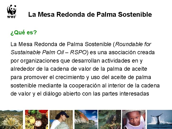 La Mesa Redonda de Palma Sostenible ¿Qué es? La Mesa Redonda de Palma Sostenible