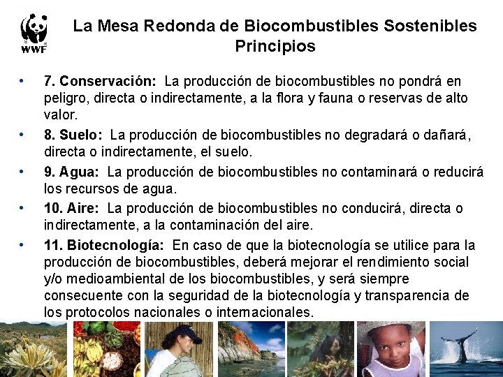 La Mesa Redonda de Biocombustibles Sostenibles Principios • • • 7. Conservación: La producción