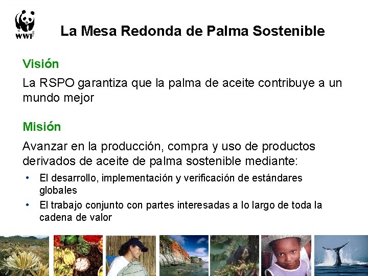 La Mesa Redonda de Palma Sostenible Visión La RSPO garantiza que la palma de