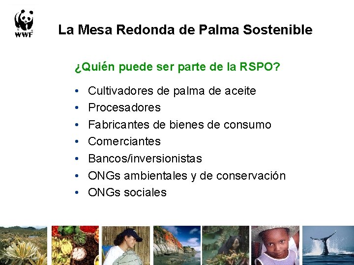 La Mesa Redonda de Palma Sostenible ¿Quién puede ser parte de la RSPO? •
