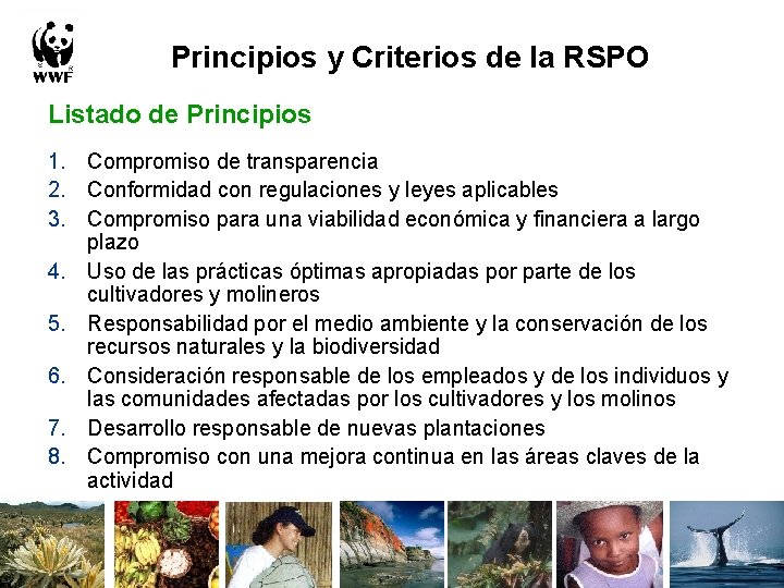 Principios y Criterios de la RSPO Listado de Principios 1. Compromiso de transparencia 2.