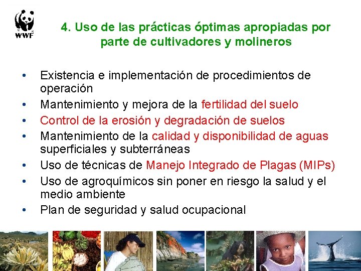 4. Uso de las prácticas óptimas apropiadas por parte de cultivadores y molineros •