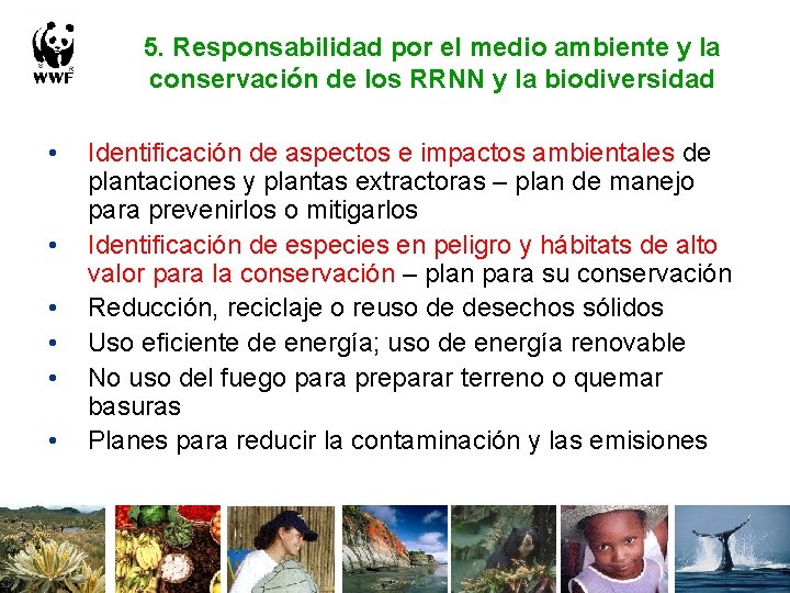 5. Responsabilidad por el medio ambiente y la conservación de los RRNN y la