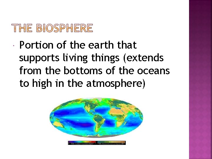  Portion of the earth that supports living things (extends from the bottoms of