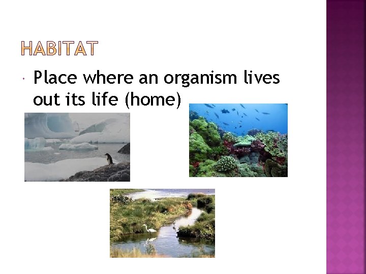  Place where an organism lives out its life (home) 