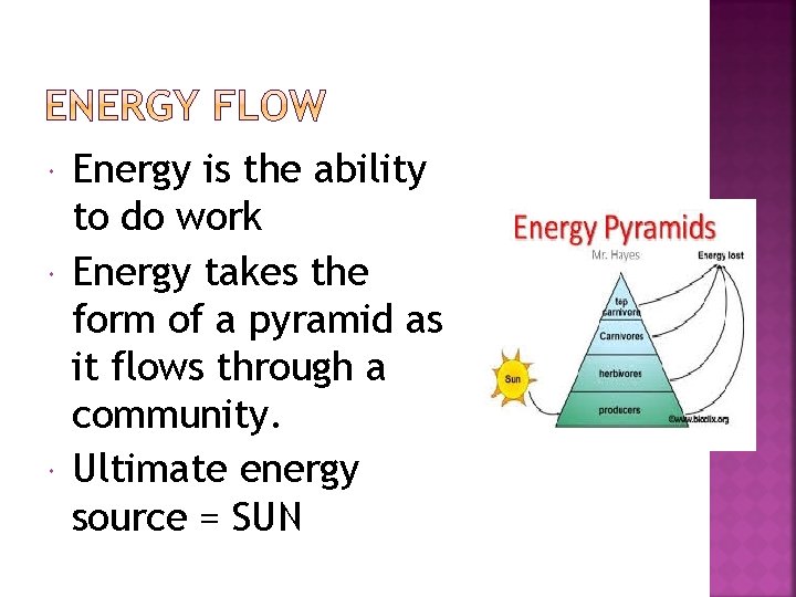  Energy is the ability to do work Energy takes the form of a