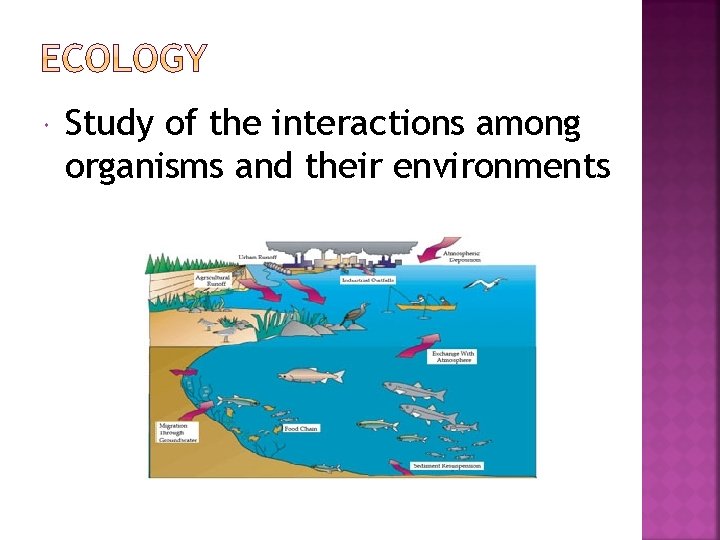  Study of the interactions among organisms and their environments 