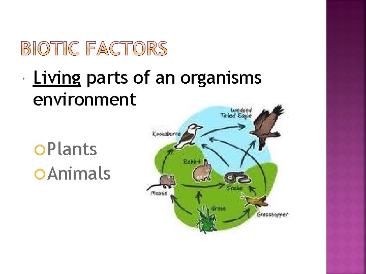  Living parts of an organisms environment Plants Animals 