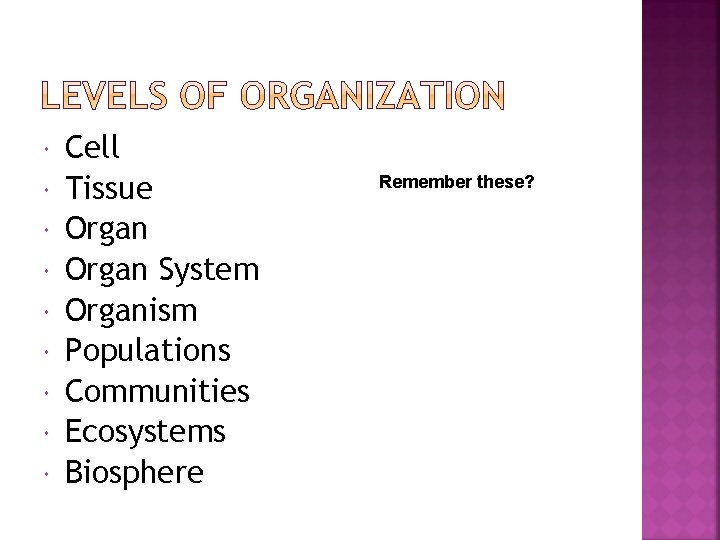  Cell Tissue Organ System Organism Populations Communities Ecosystems Biosphere Remember these? 