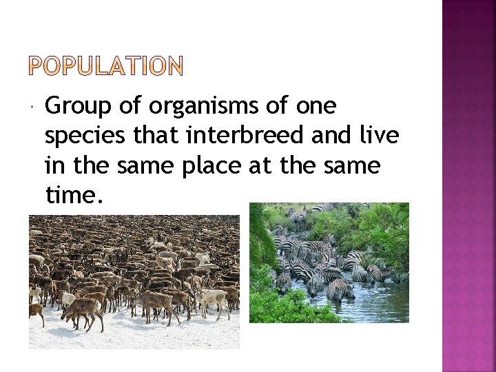  Group of organisms of one species that interbreed and live in the same