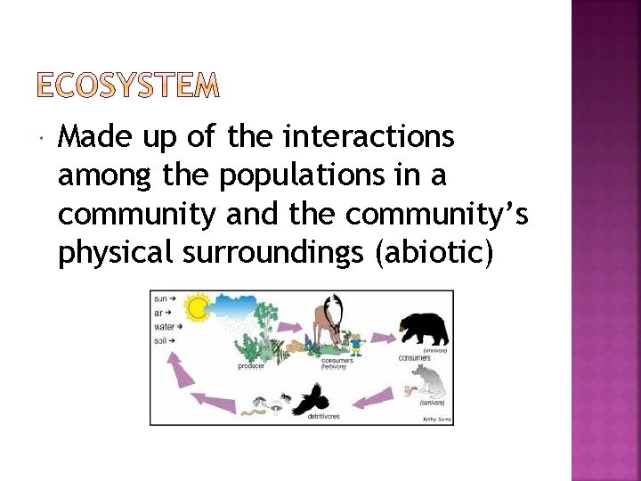  Made up of the interactions among the populations in a community and the