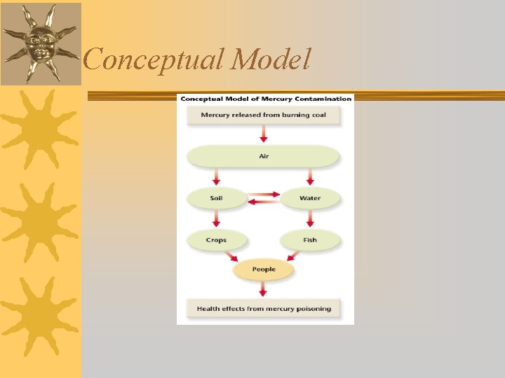 Conceptual Model 