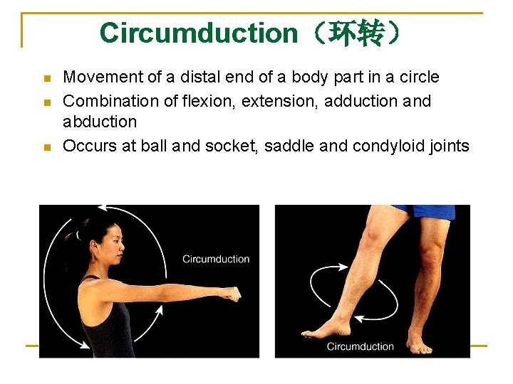Circumduction（环转） n n n Movement of a distal end of a body part in