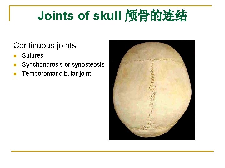 Joints of skull 颅骨的连结 Continuous joints: n n n Sutures Synchondrosis or synosteosis Temporomandibular