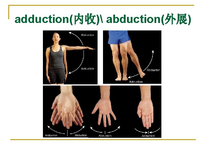 adduction(内收) abduction(外展) 