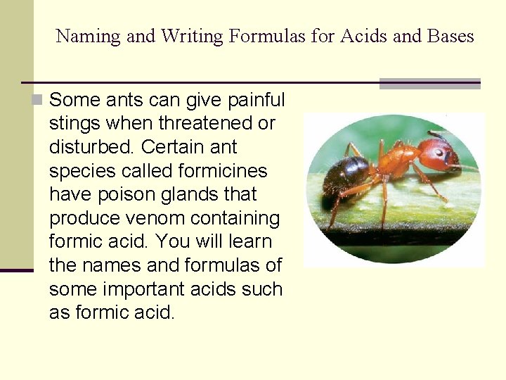 Naming and Writing Formulas for Acids and Bases n Some ants can give painful