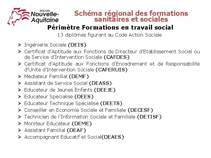 Schéma régional des formations sanitaires et sociales Périmètre Formations en travail social 13 diplômes