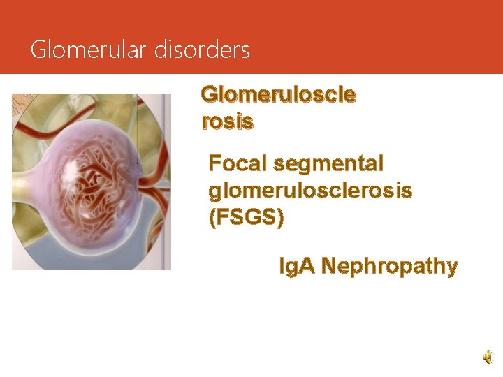 Glomerular disorders Glomeruloscle rosis Focal segmental glomerulosclerosis (FSGS) Ig. A Nephropathy 