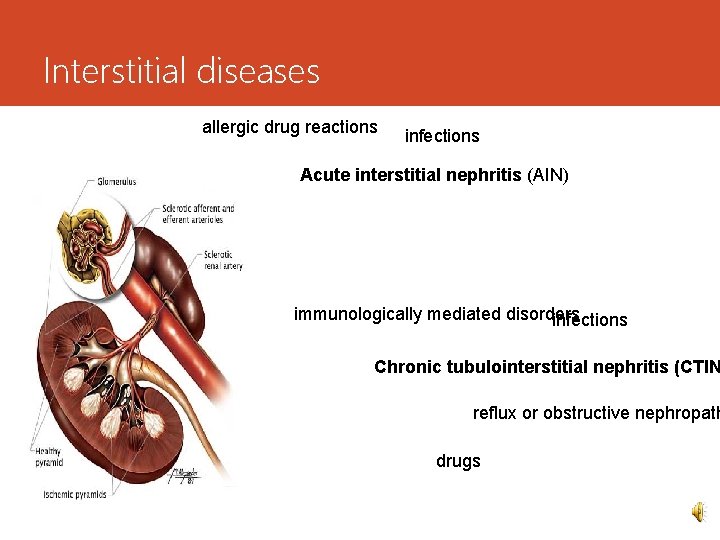 Interstitial diseases allergic drug reactions infections Acute interstitial nephritis (AIN) immunologically mediated disorders infections
