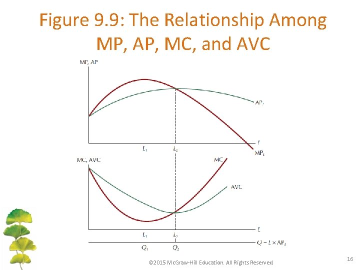 Figure 9. 9: The Relationship Among MP, AP, MC, and AVC © 2015 Mc.