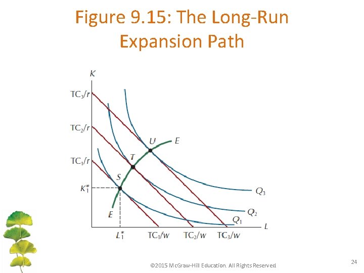 Figure 9. 15: The Long-Run Expansion Path © 2015 Mc. Graw-Hill Education. All Rights