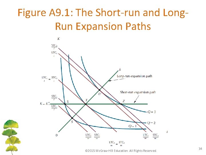 Figure A 9. 1: The Short-run and Long. Run Expansion Paths © 2015 Mc.