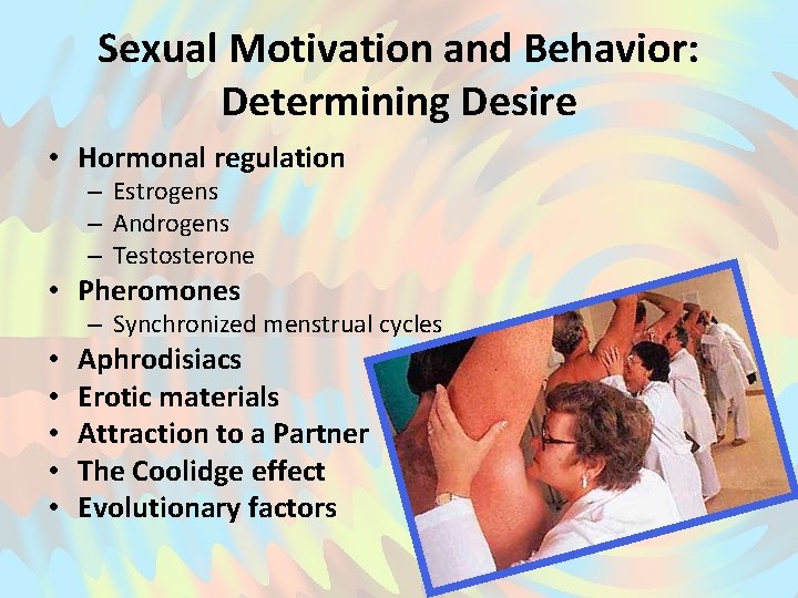 Sexual Motivation and Behavior: Determining Desire • Hormonal regulation – Estrogens – Androgens –