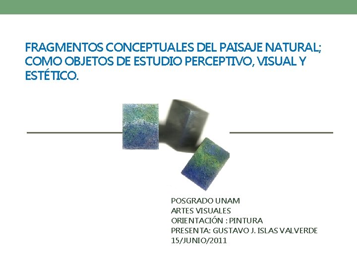 FRAGMENTOS CONCEPTUALES DEL PAISAJE NATURAL; COMO OBJETOS DE ESTUDIO PERCEPTIVO, VISUAL Y ESTÉTICO. POSGRADO