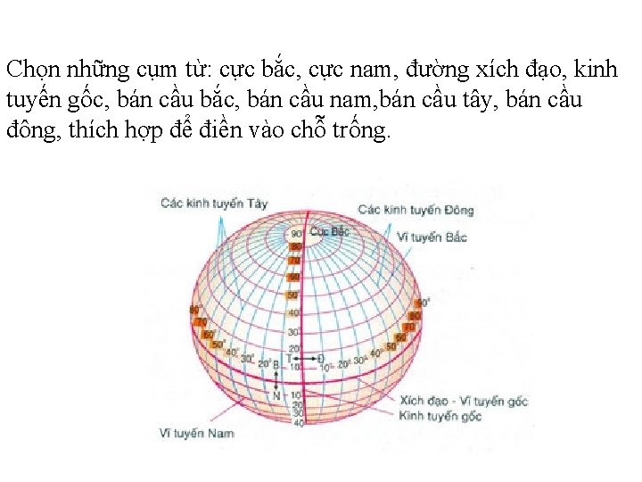 Chọn những cụm từ: cực bắc, cực nam, đường xích đạo, kinh tuyến gốc,