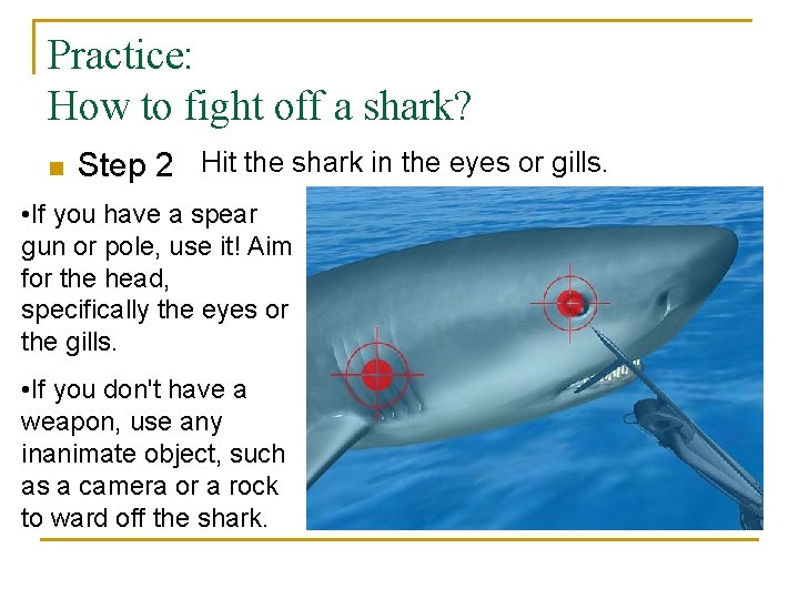 Practice: How to fight off a shark? n Step 2 Hit the shark in