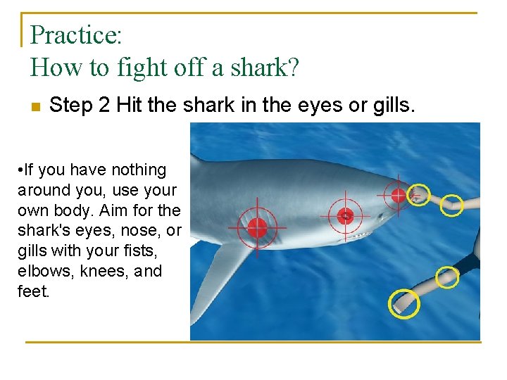 Practice: How to fight off a shark? n Step 2 Hit the shark in