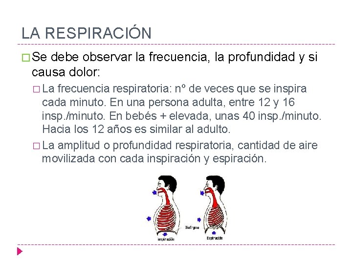 LA RESPIRACIÓN � Se debe observar la frecuencia, la profundidad y si causa dolor: