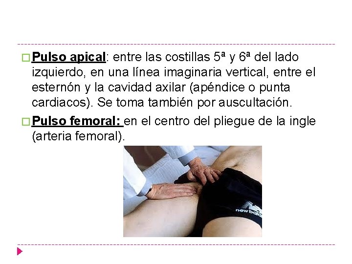 � Pulso apical: entre las costillas 5ª y 6ª del lado izquierdo, en una