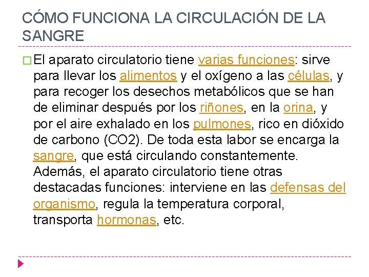 CÓMO FUNCIONA LA CIRCULACIÓN DE LA SANGRE � El aparato circulatorio tiene varias funciones: