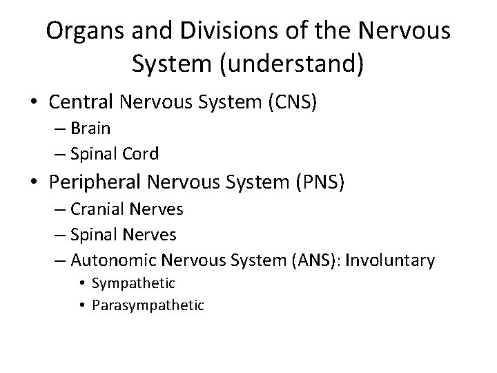 Organs and Divisions of the Nervous System (understand) • Central Nervous System (CNS) –