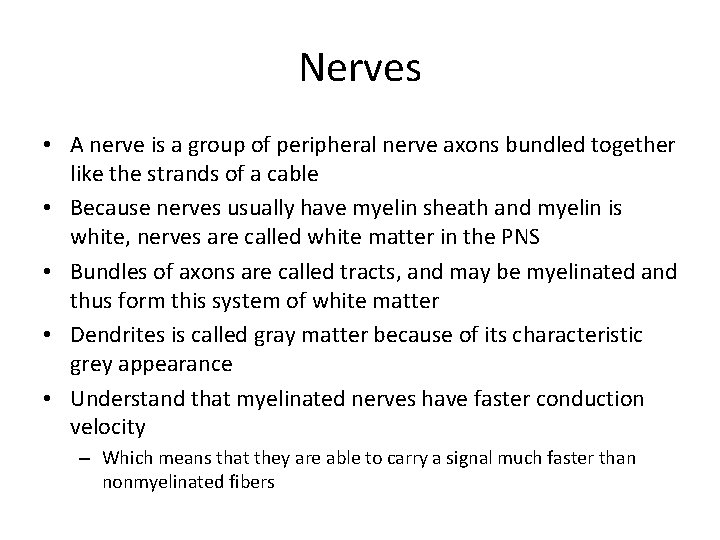 Nerves • A nerve is a group of peripheral nerve axons bundled together like