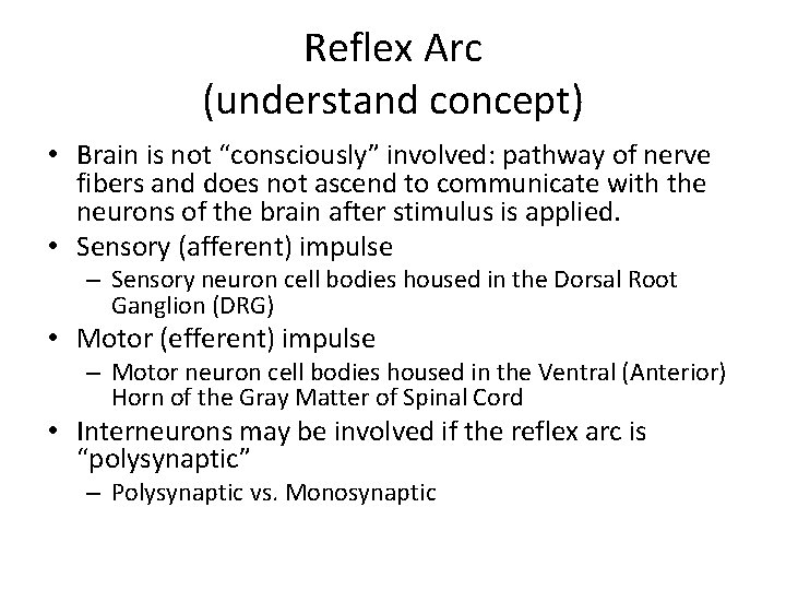 Reflex Arc (understand concept) • Brain is not “consciously” involved: pathway of nerve fibers