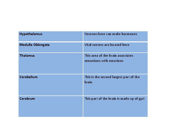 Hypothalamus Neurons here can make hormones Medulla Oblongata Vital centers are located here Thalamus