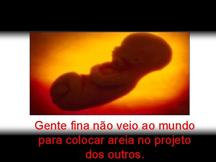 Gente fina não veio ao mundo para colocar areia no projeto dos outros. 