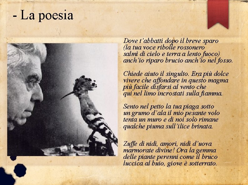 - La poesia Dove t’abbatti dopo il breve sparo (la tua voce ribolle rossonero - La poesia Dove t’abbatti dopo il breve sparo (la tua voce ribolle rossonero