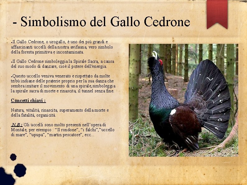 - Simbolismo del Gallo Cedrone Il Gallo Cedrone, o urogallo, è uno dei più