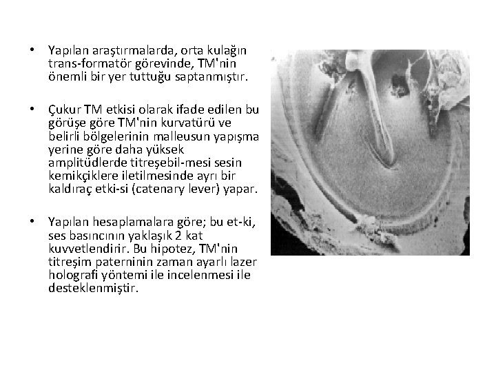  • Yapılan araştırmalarda, orta kulağın trans formatör görevinde, TM'nin önemli bir yer tuttuğu