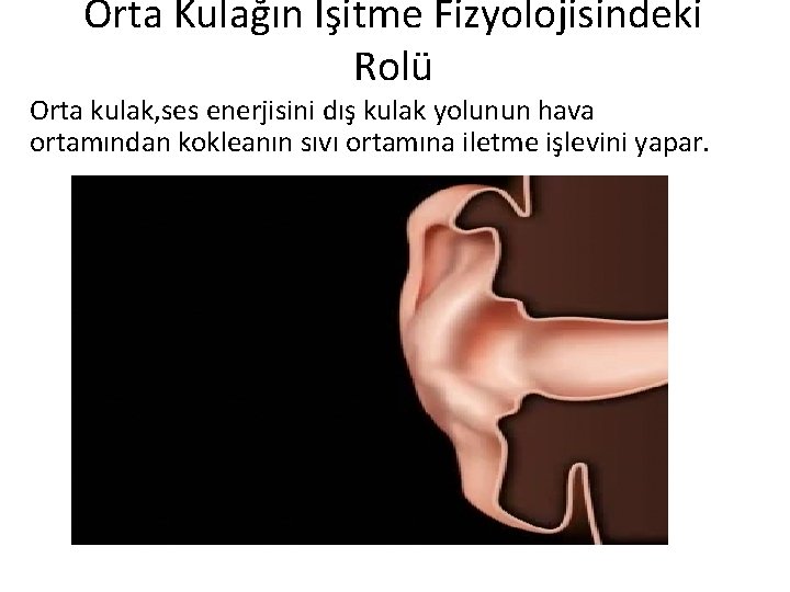 Orta Kulağın İşitme Fizyolojisindeki Rolü Orta kulak, ses enerjisini dış kulak yolunun hava ortamından