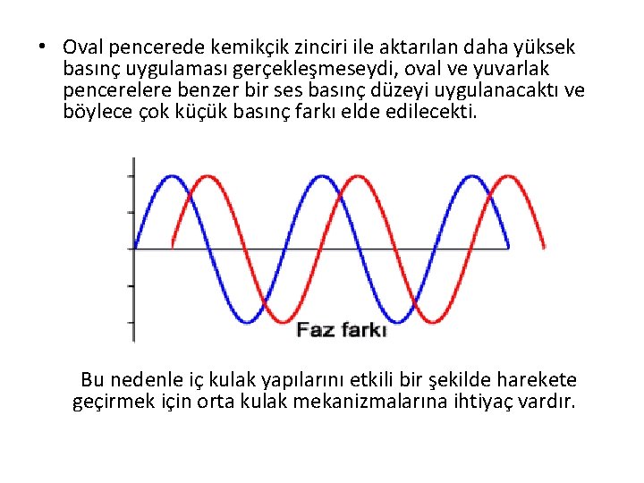  • Oval pencerede kemikçik zinciri ile aktarılan daha yüksek basınç uygulaması gerçekleşmeseydi, oval