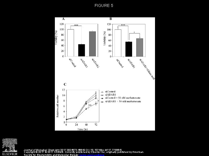 FIGURE 5 Journal of Biological Chemistry 2017 2924873 -4884 DOI: (10. 1074/jbc. M 117.