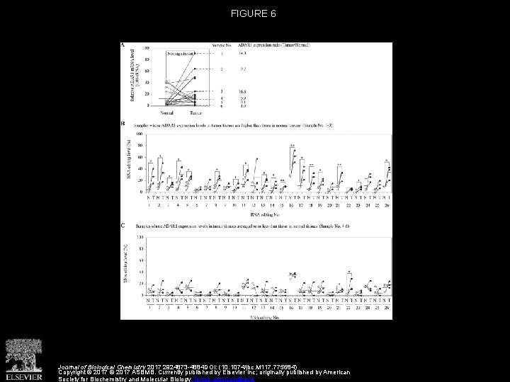 FIGURE 6 Journal of Biological Chemistry 2017 2924873 -4884 DOI: (10. 1074/jbc. M 117.