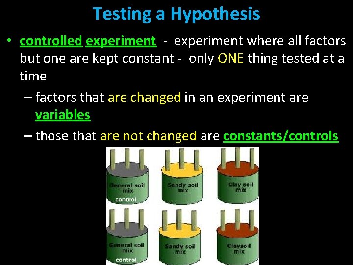 Testing a Hypothesis • controlled experiment - experiment where all factors but one are