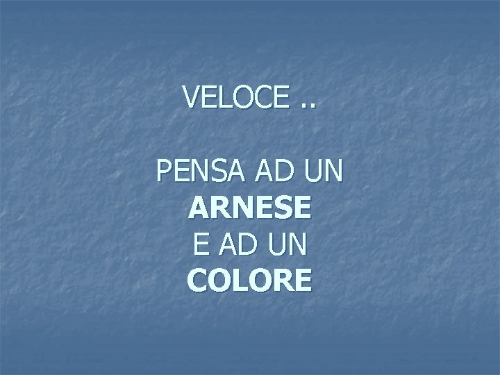 VELOCE. . PENSA AD UN ARNESE E AD UN COLORE 